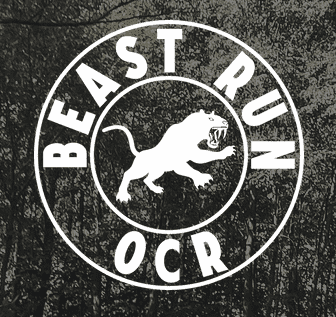 Забег Гонка с препятствиями «Beast run OCR»