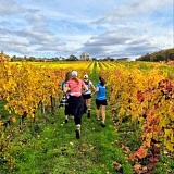 Яблони в цвету, Крымск