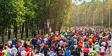 Кинозабег. Кинопарк Москино, Москва