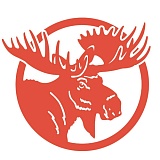 Фестиваль спорта «Демино Фест», Демино