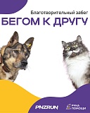Благотворительный забег 