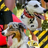 Gavki Spring Race, Григорчиково