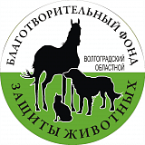 Благотворительный забег с собаками «Дино Кросс», Волгоград