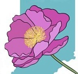 Трейл «Дикие пионы», Белая Скала