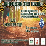 Динамовский забег Победы, Тамбов
