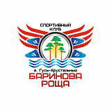 Кроссовый полумарафон «Побег из лета», Гусь Хрустальный