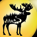 Зимний трейл «Ночной ЛосьТрейл», Калуга