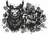 Forest Run Mytischi Trail, Мытищи